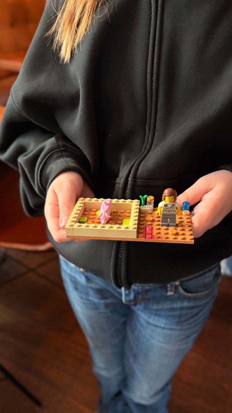 Hände präsentieren einen kleinen Lego-Stall mit rosa Schwein und Bäuerin-Figur