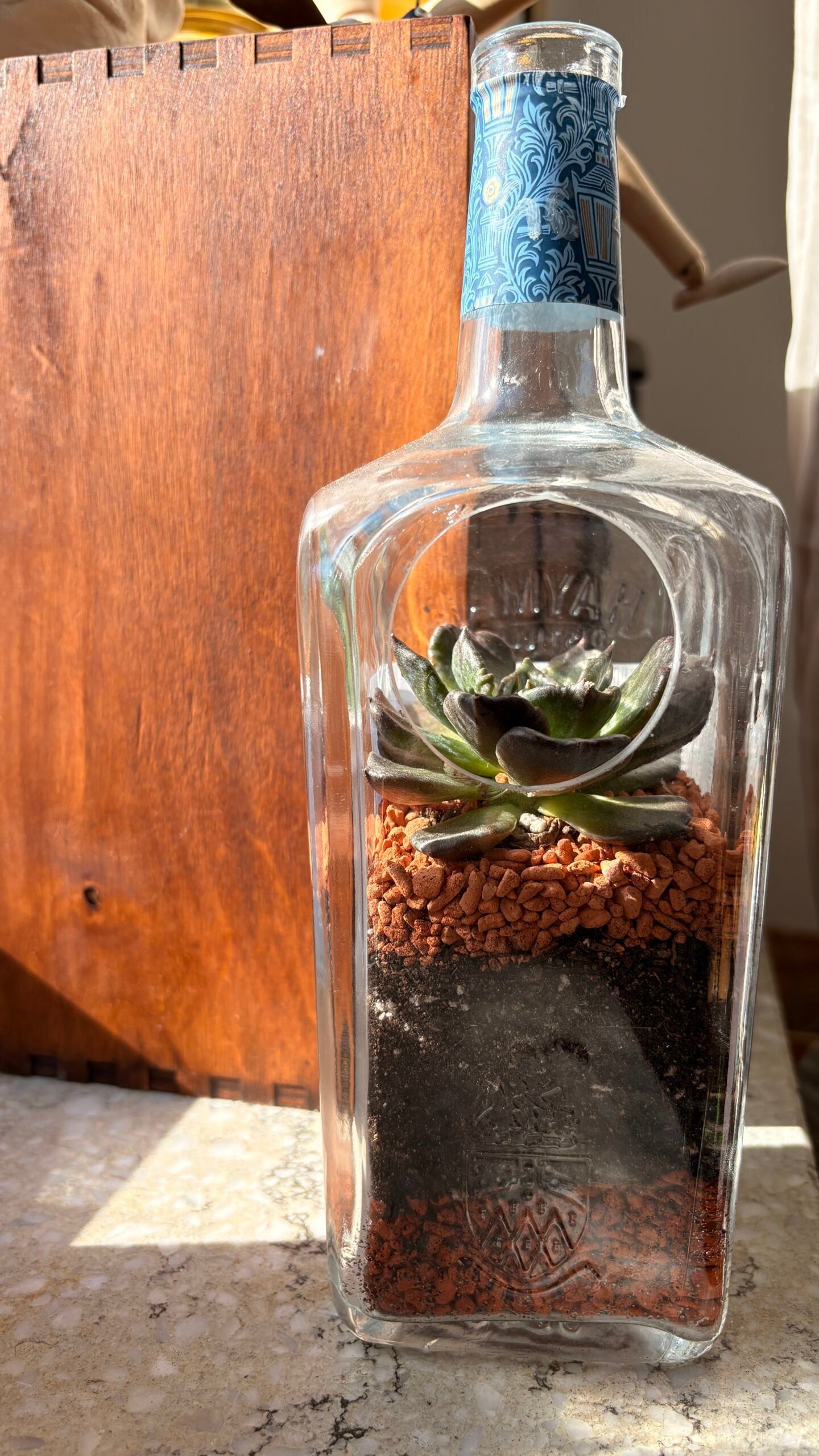 Echeveria-Sukkulente in einer upgecycelten Hayman's-Flasche von Casa Blumen